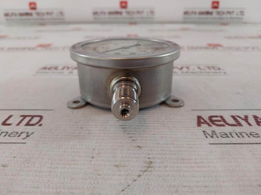 Nagano Keiki 0 To 25 Mpa Pressure Gauge Bu 1/4 60X25 Mpkf 0-250 (Kgf/Cm2)