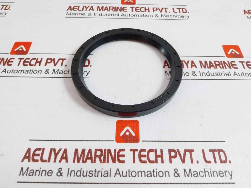 Nak Rotary Shaft Oil Seal 100 120 12