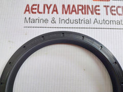Nak Rotary Shaft Oil Seal 100 120 12