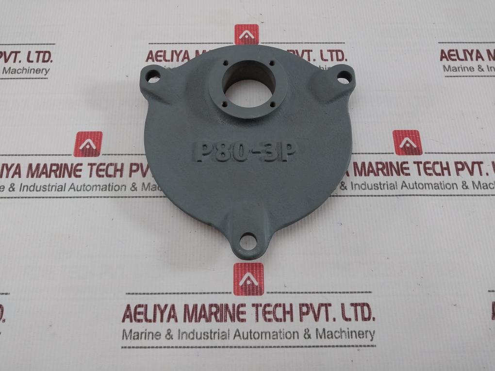 Nakakita P80-3P Actuator Rp07210128-00