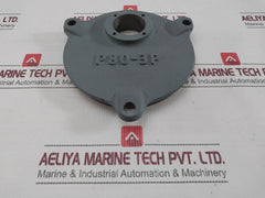 Nakakita P80-3P Actuator Rp07210128-00