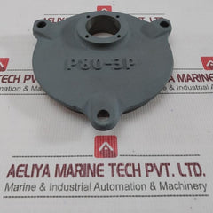 Nakakita P80-3P Actuator Rp07210128-00