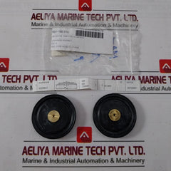 Nakakita Seisakusho 12 Diaphragm Assembly Kit Akmq0102Axe Ns770C