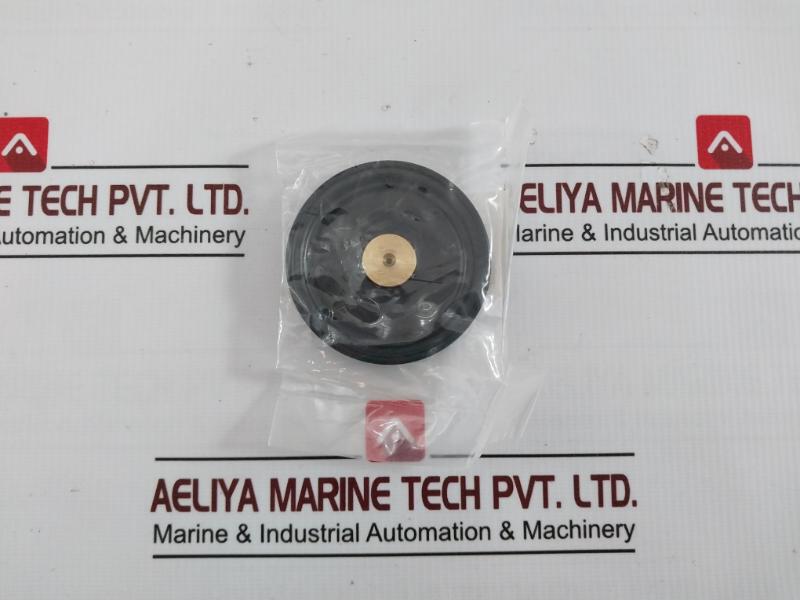 Nakakita Seisakusho 38 Pressure Control Valve &; Diaphragm Assy Gasket Kit Cv-031