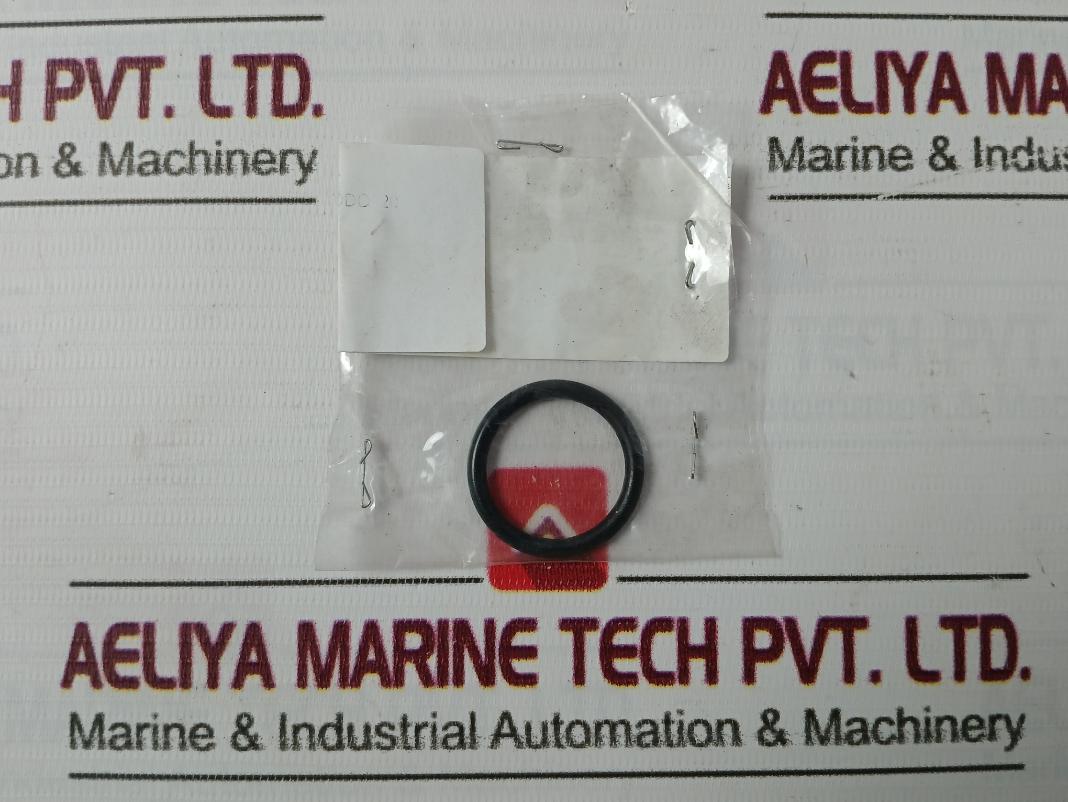 Nakakita Seisakusho 40 O-ring Packing Gasket Reducing Valve Kit 150-600Lb