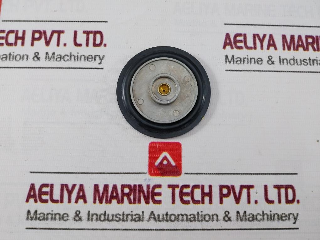 Nakakita Seisakusho 4519-4 Temperature Control Valve & Diaphragm Gasket Kit