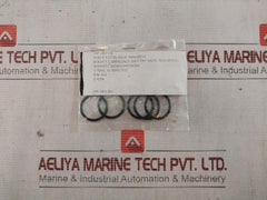 Nakakita Seisakusho A51 Boiler Piston Valve Packing &amp; O-ring Kit A53