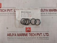 Nakakita Seisakusho A51 Boiler Piston Valve Packing &amp; O-ring Kit A53