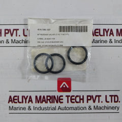 Nakakita Seisakusho B41 O-ring For Ip Bleeder Valve Gasket Lock Washer Kit H42