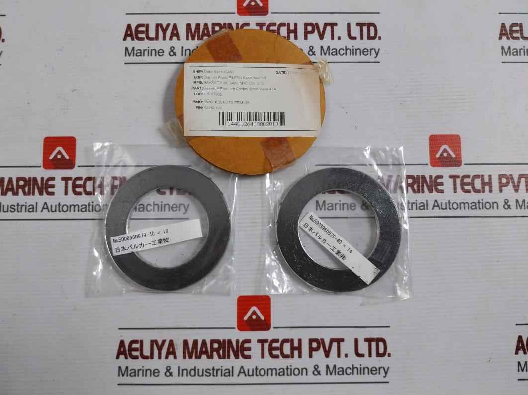 Nakakita Seisakusho Kd016479 Control Valve Parts Packing &amp; Gasket Kit