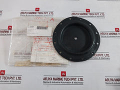 Nakakita Seisakusho Temperature Control Valve &amp; Diaphragm Assy Gasket Kit 200Cr