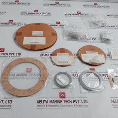 Nakakita Kd016469 Gasket O-ring Steam Reducing Valve Packing Kit 60/2.1K