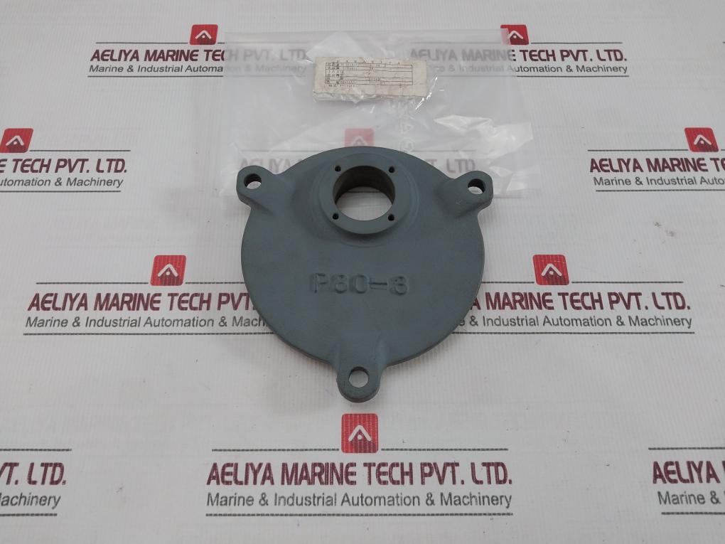 Nakakita P80-3 Carbon Steel Casting Fc250