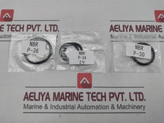 Nakakita Seisakusho Pac80U-03-p O-ring Kit