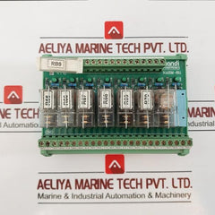 Nandi Powertronics Narm-81i General Purpose Relay Module 24v Dc