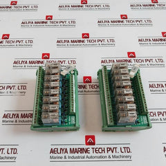 Nandi Powertronics Narm-81I Solid State Relay Module 24V Dc
