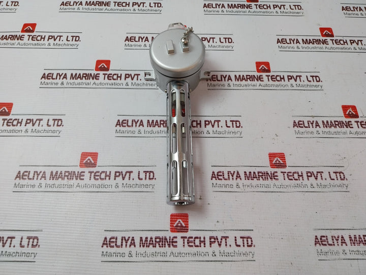Nds Pt100Ω Temperature Sensor 281020050