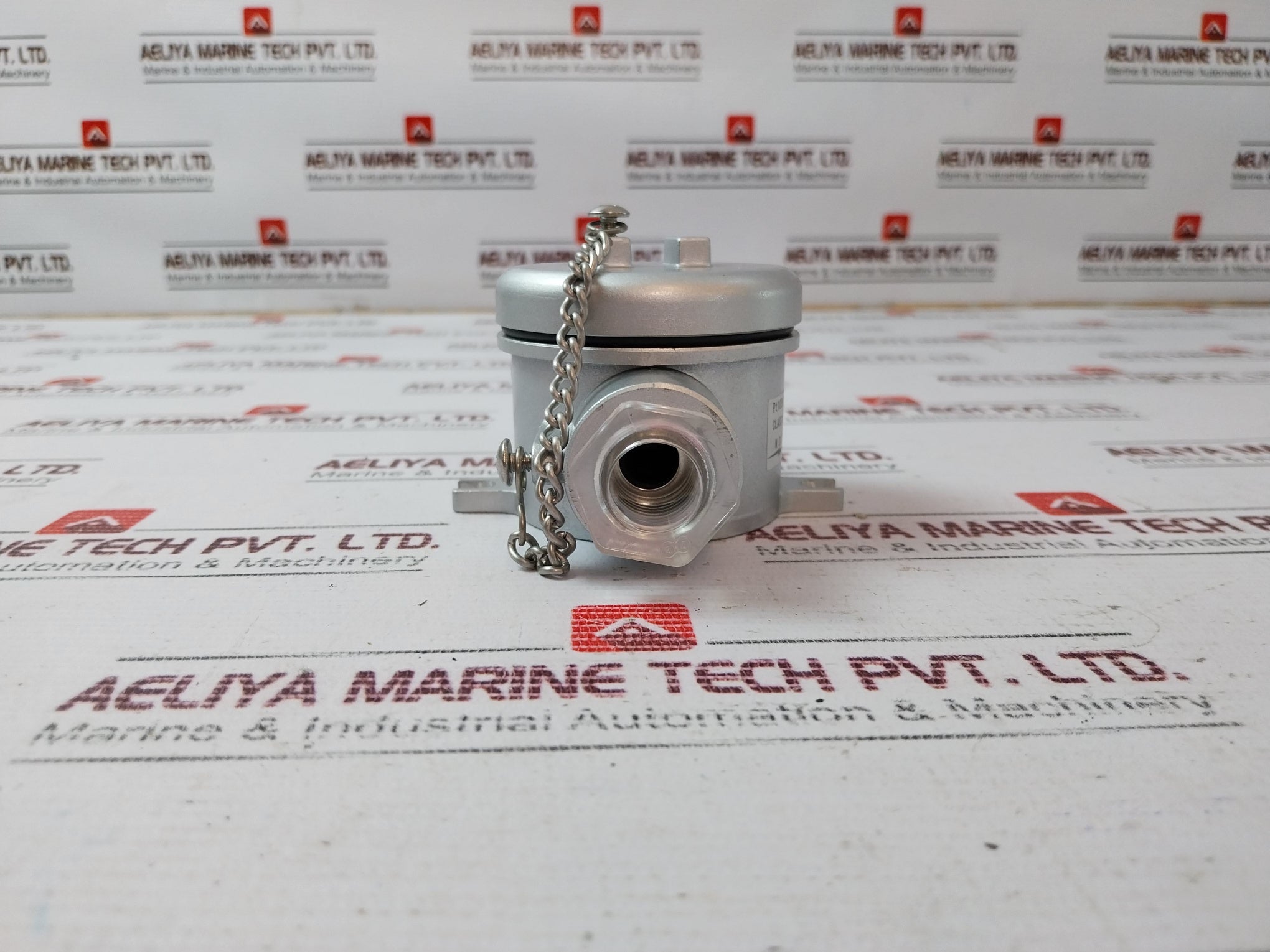 Nds Pt100Ω Temperature Sensor 281020050