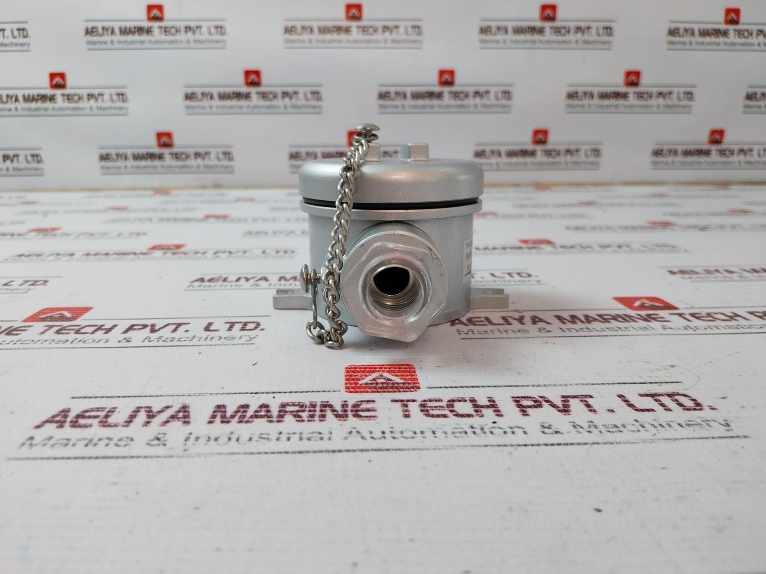 Nds Pt100Ω Temperature Sensor 281020050