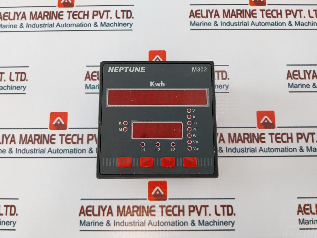 Neptune M302 Energy Meter 50/60Hz