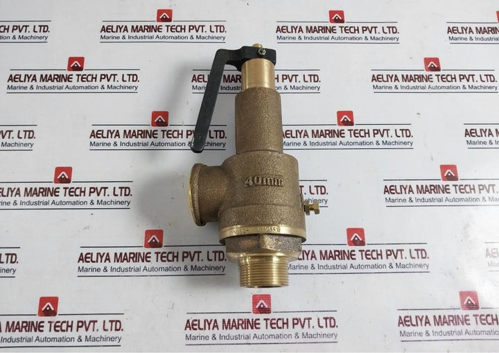Neta Valves Wj 40Mm Bronze Spring Loaded Safety Relief Valve Cx75928