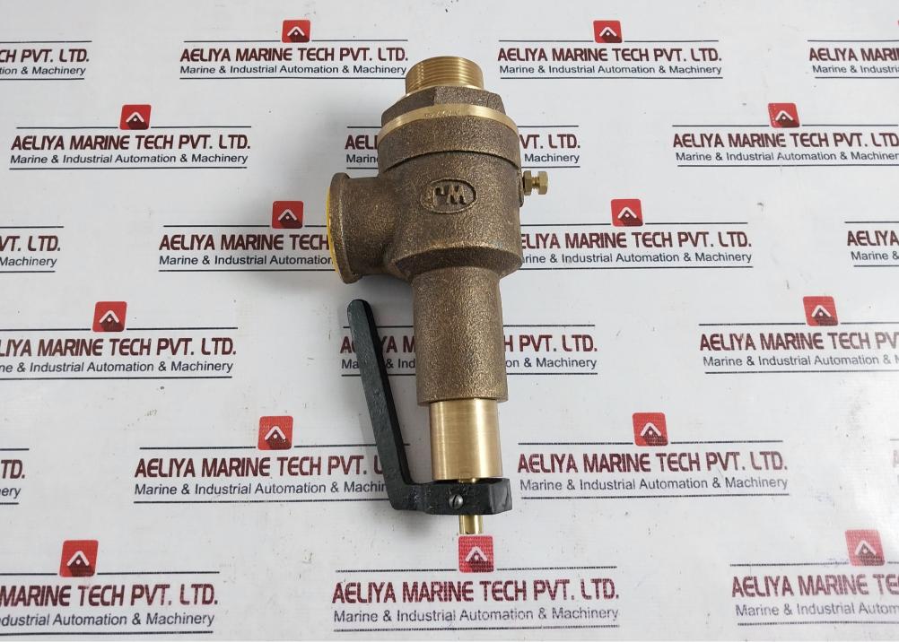 Neta Valves Wj 40Mm Bronze Spring Loaded Safety Relief Valve Cx75928