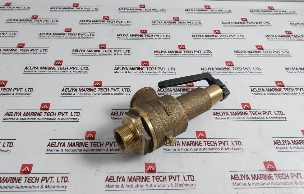 Neta Valves Wj 40Mm Bronze Spring Loaded Safety Relief Valve Cx75928