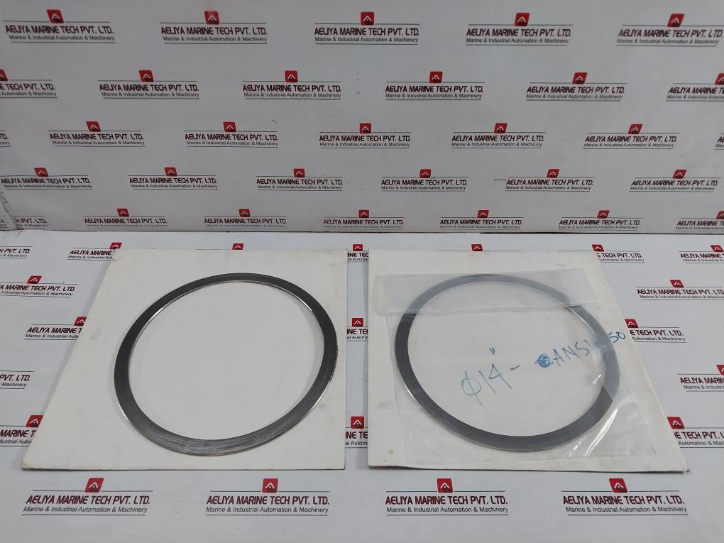 New Condition Spiral Wound Gasket
