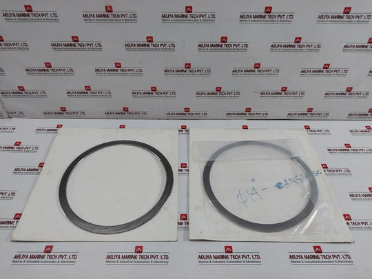 New Condition Spiral Wound Gasket