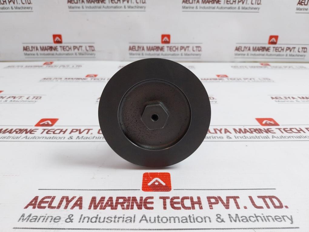 New Oil Relay Pistn Spinl & Pistn Assy 21861 X215