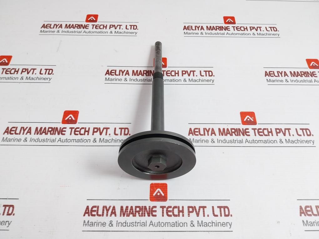 New Oil Relay Pistn Spinl & Pistn Assy 21861 X215