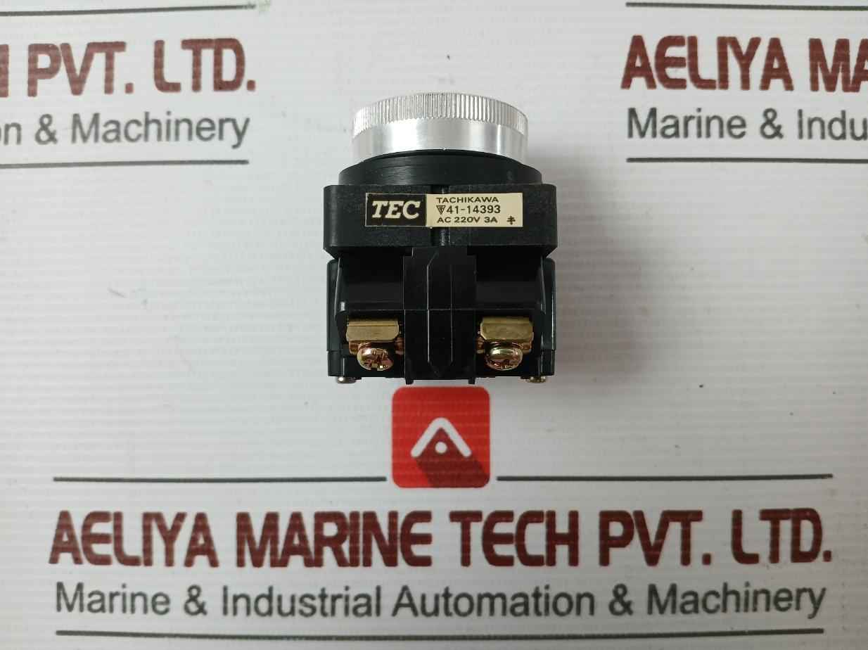 New Push Button Switch 41-14393 Brand Tec 220Vac 3A