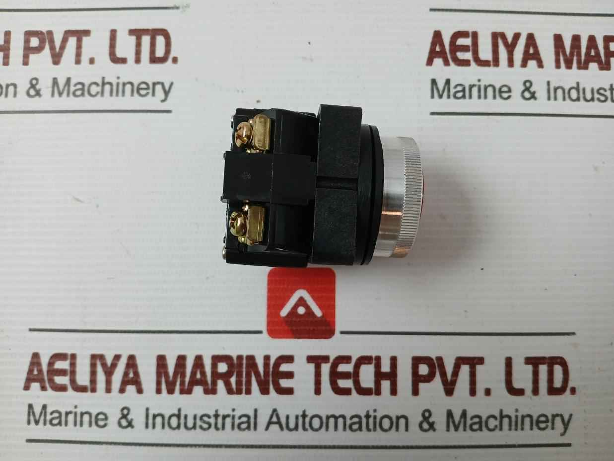 New Push Button Switch 41-14393 Brand Tec 220Vac 3A