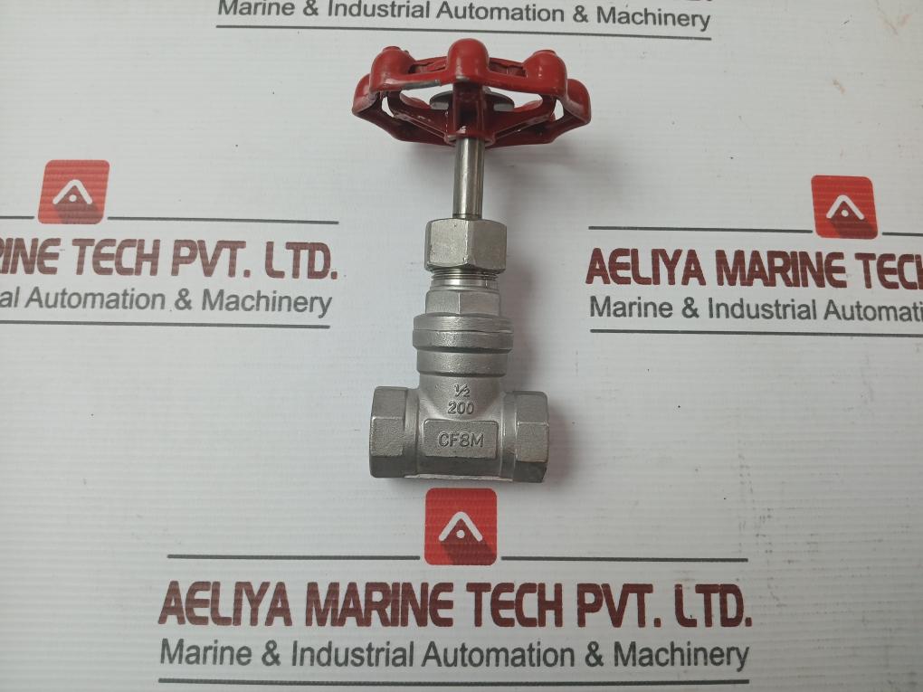 New Stainless Steel Gate Valve 1/2 Inch Cf8M