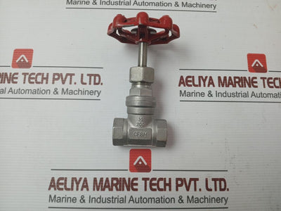 New Stainless Steel Gate Valve 1/2 Inch Cf8M