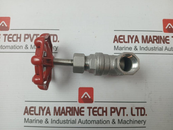 New Stainless Steel Gate Valve 1/2 Inch Cf8M