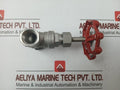 New Stainless Steel Gate Valve 1/2 Inch Cf8M