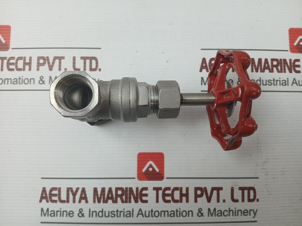 New Stainless Steel Gate Valve 1/2 Inch Cf8M