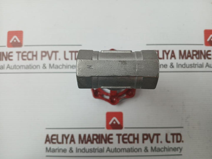 New Stainless Steel Gate Valve 1/2 Inch Cf8M