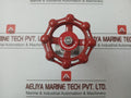 New Stainless Steel Gate Valve 1/2 Inch Cf8M