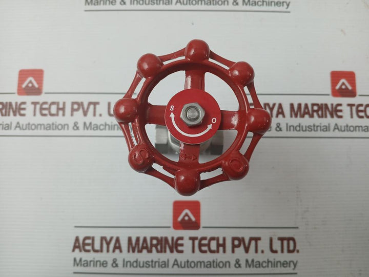 New Stainless Steel Gate Valve 1/2 Inch Cf8M