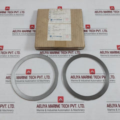 Nichias 1804-gr-e00 1804-gr Vortex Gasket Ring 600Lbx156X189X 3. 2