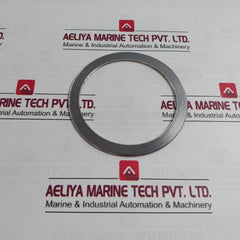 Nichias 1804-gr-e00 Vortex Gasket Ring