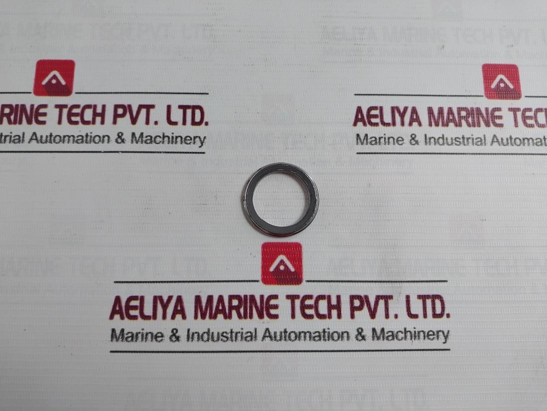 Nichias 1804-gr-e00 Vortex Gasket Ring