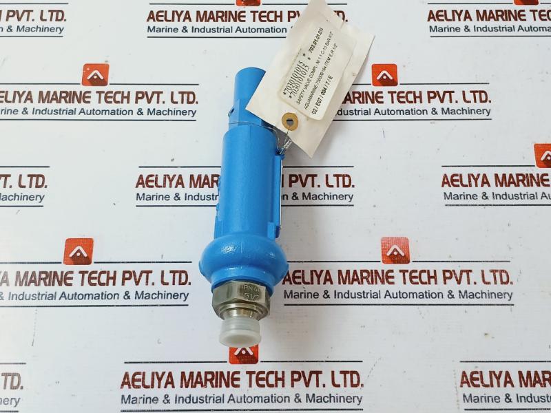 Niezgodka 1.1 C Safety Relief Valve Compl-ni 15 Bar (G) 1.4104