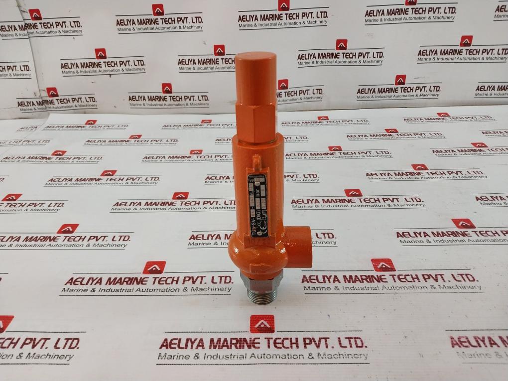 Niezgodka 10.1 Safety Valve Tuv-sv-04-847 9 Bar 6627 G3/4