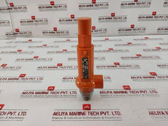 Niezgodka 10.1 Safety Valve Tuv-sv-04-847 9 Bar 6627 G3/4