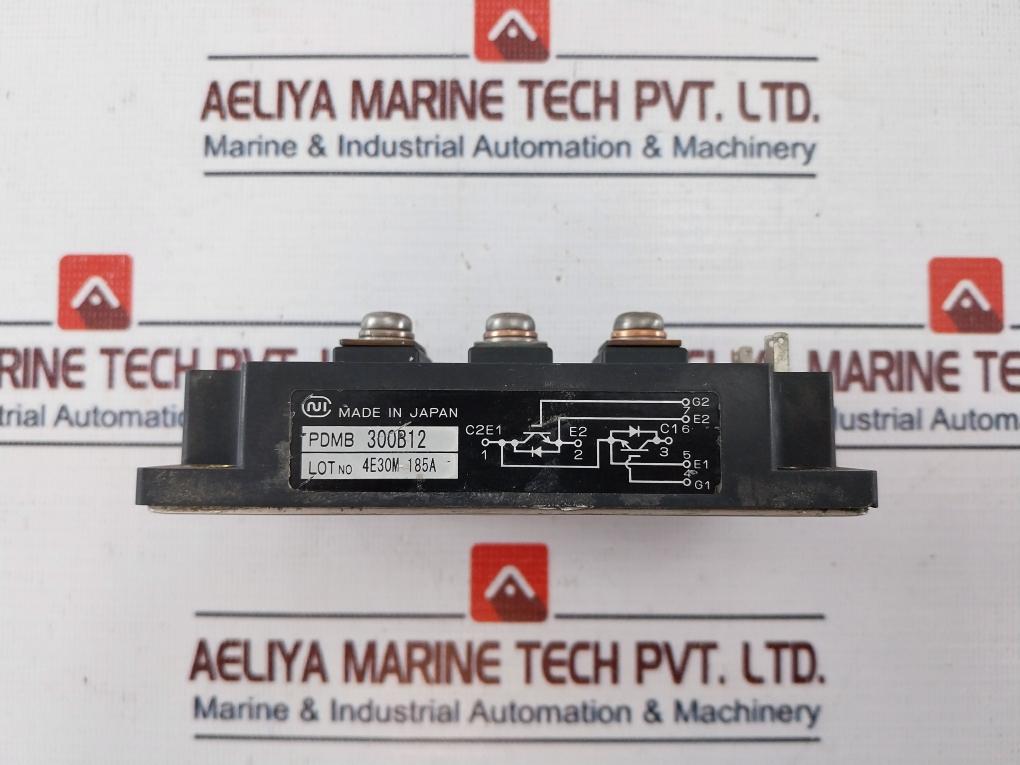 Nihon Inter Electronics PDMB 300B12 Module