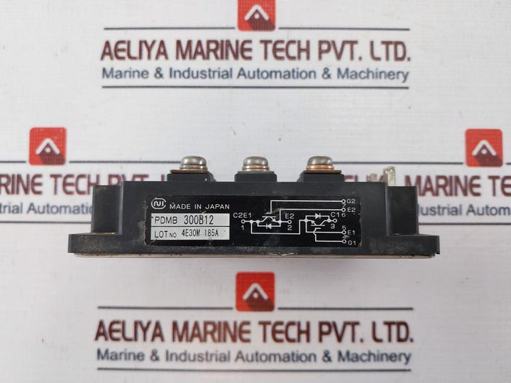 Nihon Inter Electronics PDMB 300B12 Module