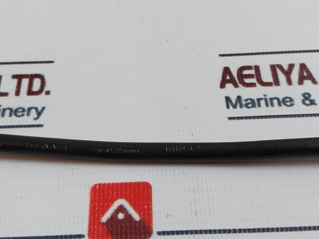 Ningbo Ousheng 19.99.1018 442000136 Power Cord 250V~